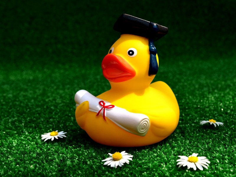 A supervalorização dos títulos&nbsp;acadêmicos